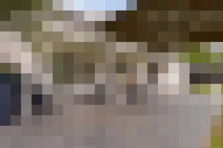 Lobeliastraat 24 Ittervoort thumbnail 33