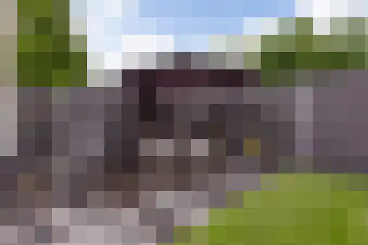 Lobeliastraat 24 Ittervoort thumbnail 35