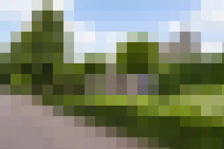 Lobeliastraat 24 Ittervoort thumbnail 36