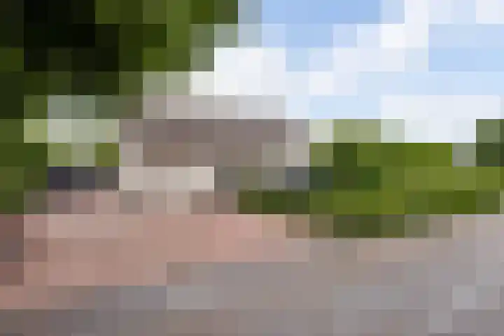 Lobeliastraat 24 Ittervoort thumbnail 38