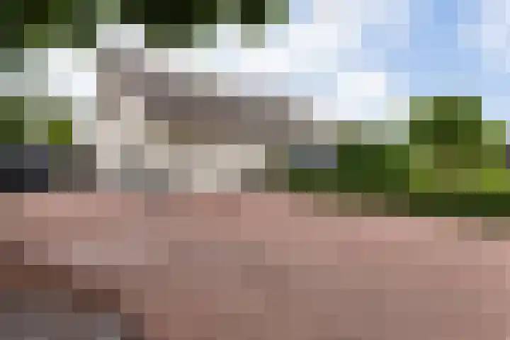 Lobeliastraat 24 Ittervoort thumbnail 39