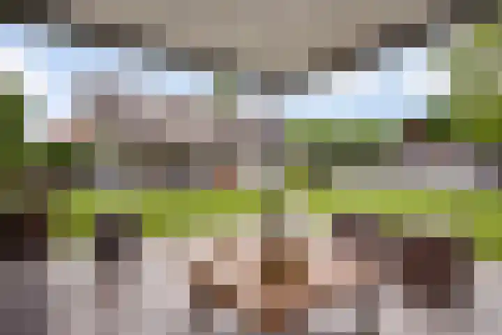 Lobeliastraat 24 Ittervoort thumbnail 4