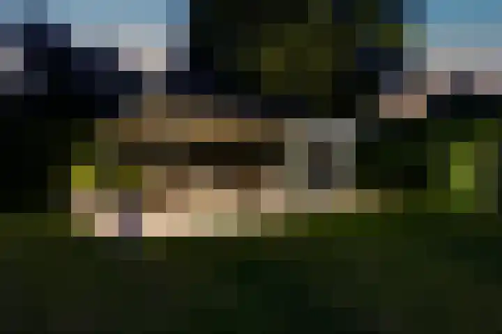 Lobeliastraat 24 Ittervoort thumbnail 41