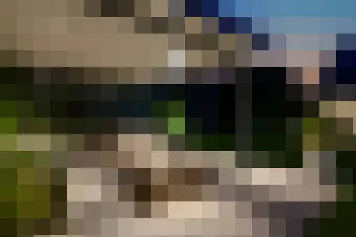 Lobeliastraat 24 Ittervoort thumbnail 43