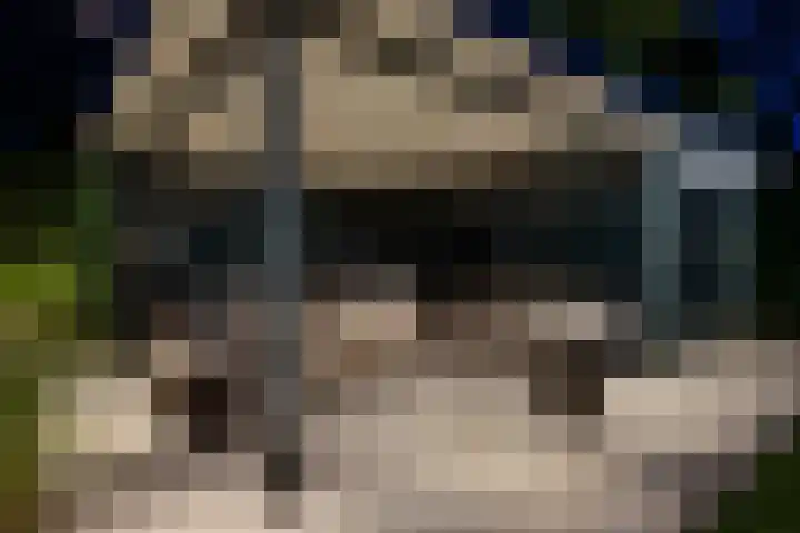 Lobeliastraat 24 Ittervoort thumbnail 5