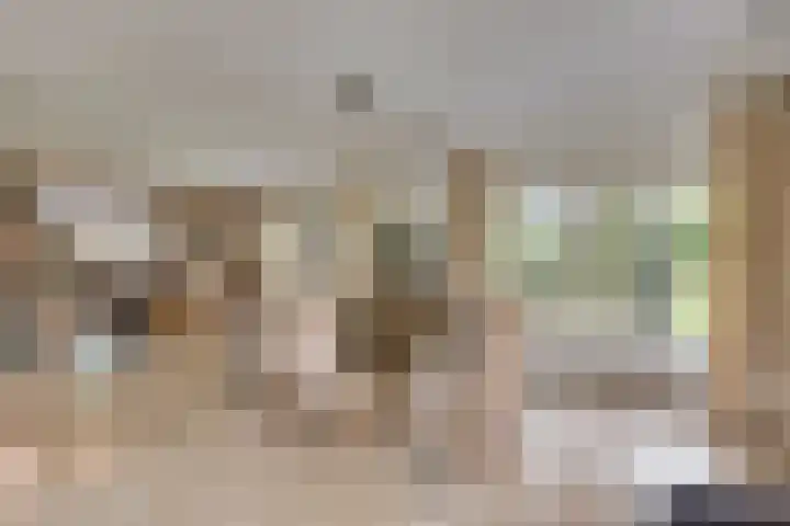Lobeliastraat 24 Ittervoort thumbnail 8