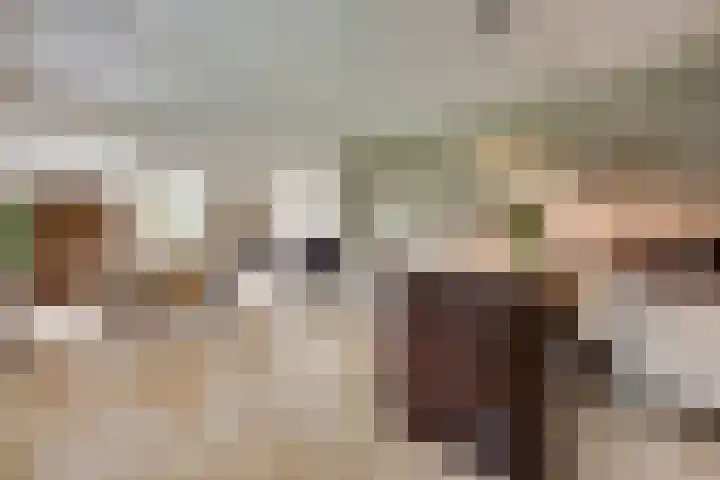 Lobeliastraat 24 Ittervoort thumbnail 9