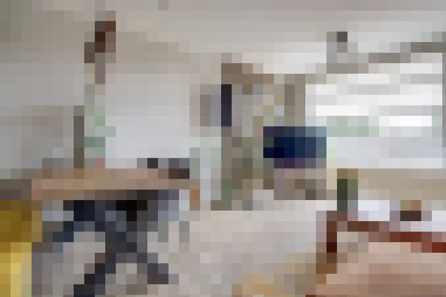 Lobeliastraat 31 B Spijkenisse thumbnail 11