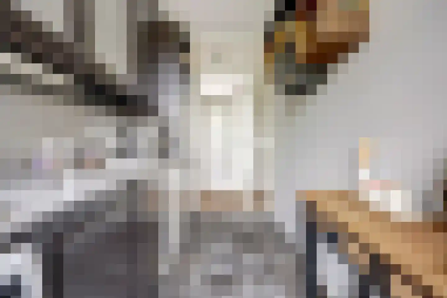 Lobeliastraat 31 B Spijkenisse thumbnail 14