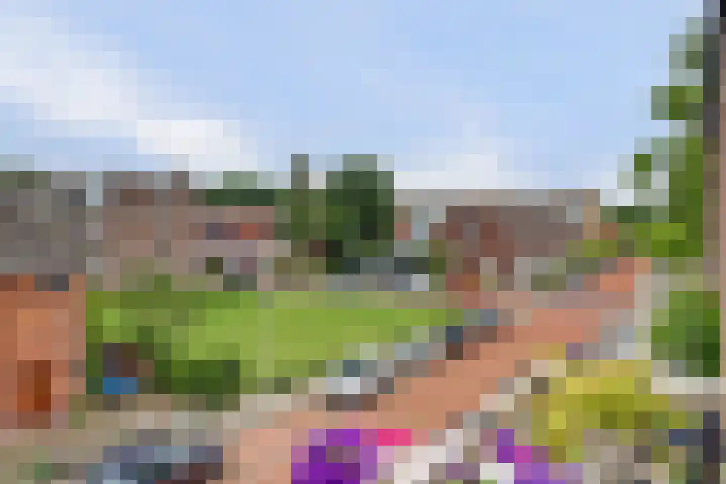 Lobeliastraat 31 B Spijkenisse thumbnail 23