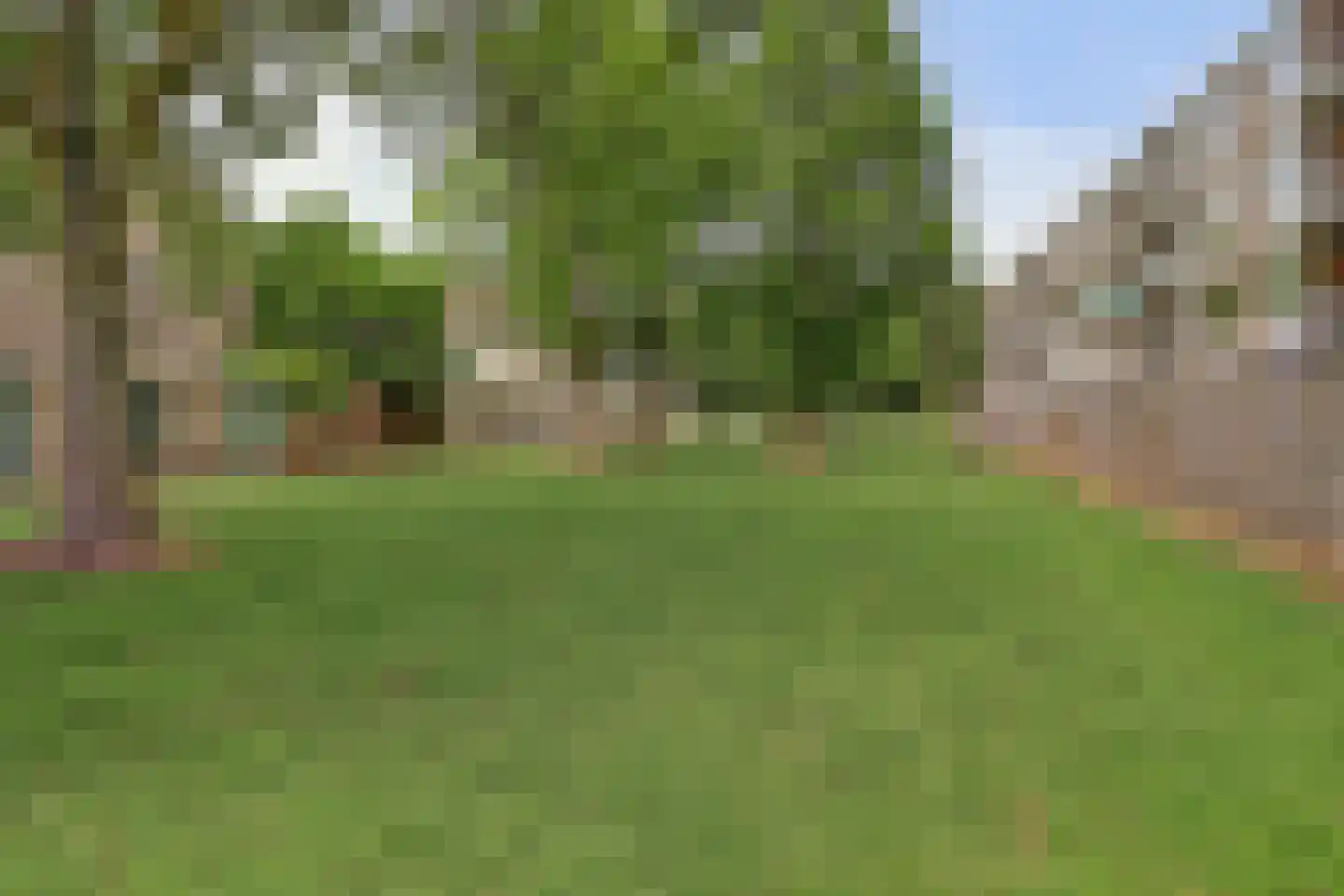 Lobeliastraat 31 B Spijkenisse thumbnail 25