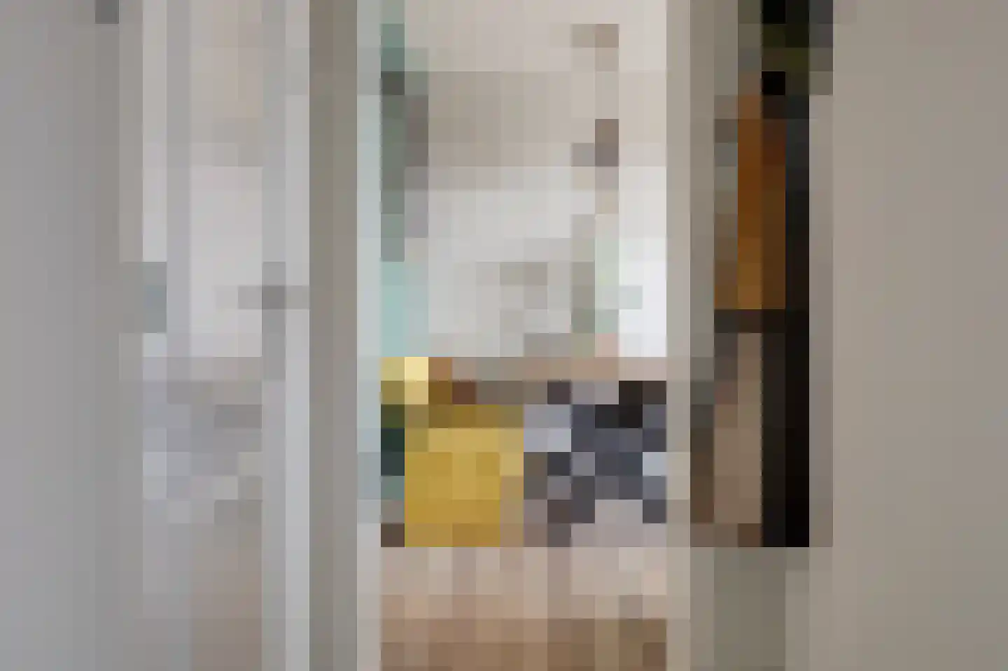 Lobeliastraat 31 B Spijkenisse thumbnail 6