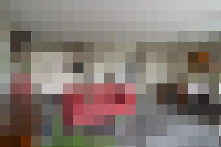 Lobeliastraat 31 Barneveld thumbnail 12