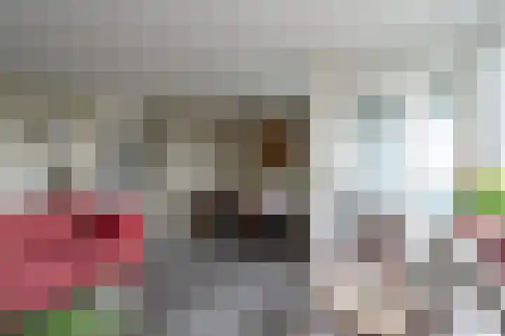 Lobeliastraat 31 Barneveld thumbnail 16