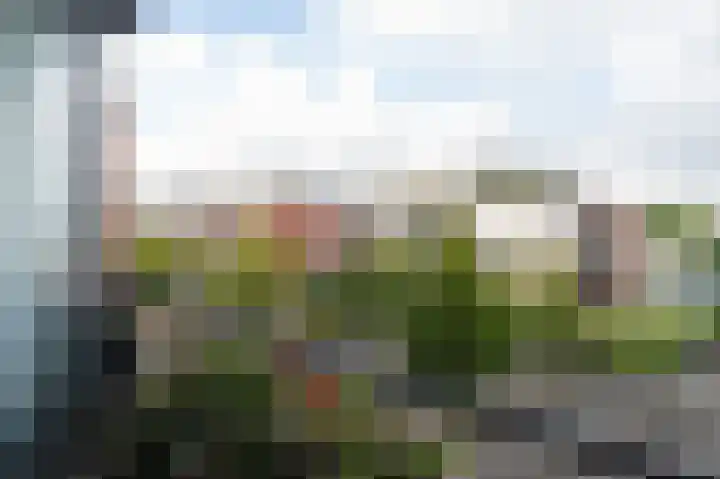 Lobeliastraat 31 Barneveld thumbnail 21