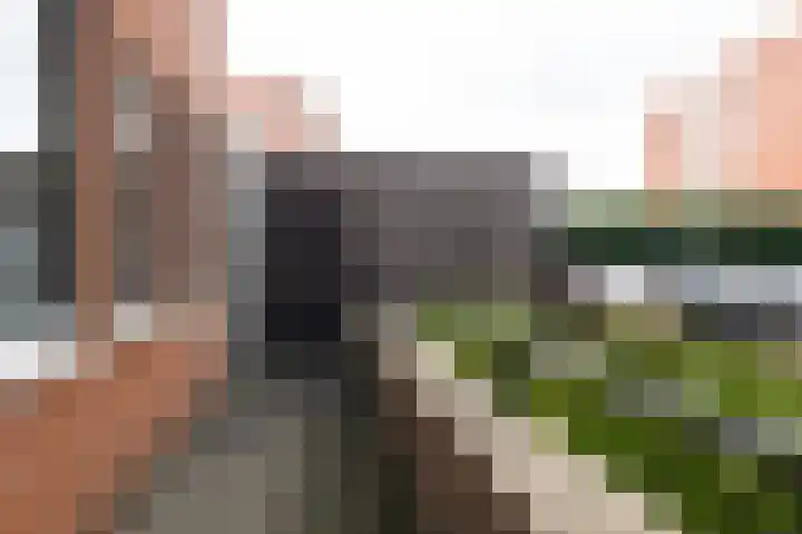 Lobeliastraat 31 Barneveld thumbnail 29