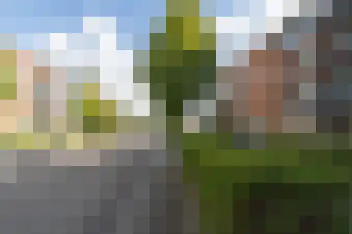 Lobeliastraat 31 Barneveld thumbnail 39