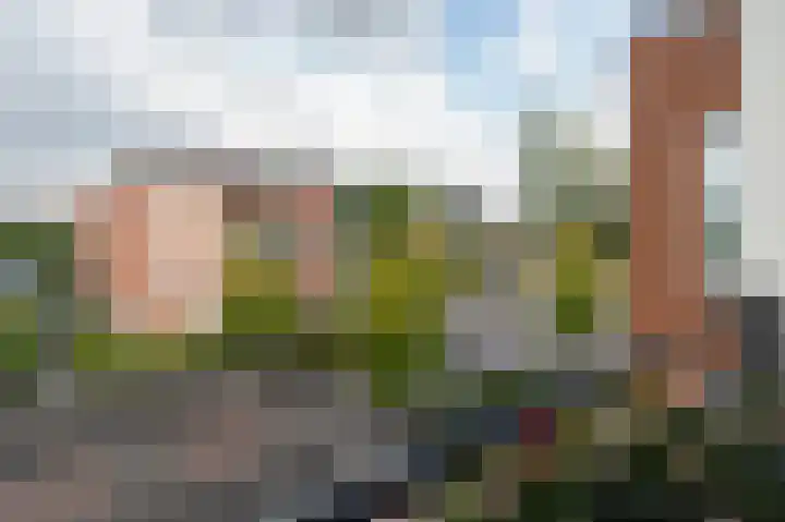 Lobeliastraat 31 Barneveld thumbnail 4