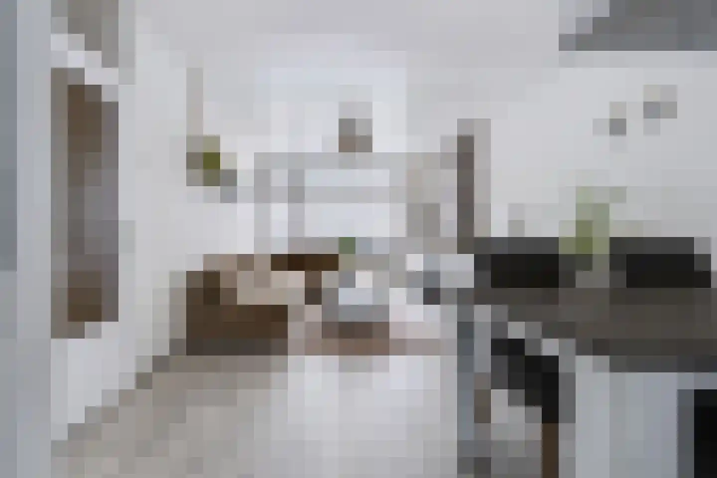 Lobeliastraat 33 B Spijkenisse thumbnail 15