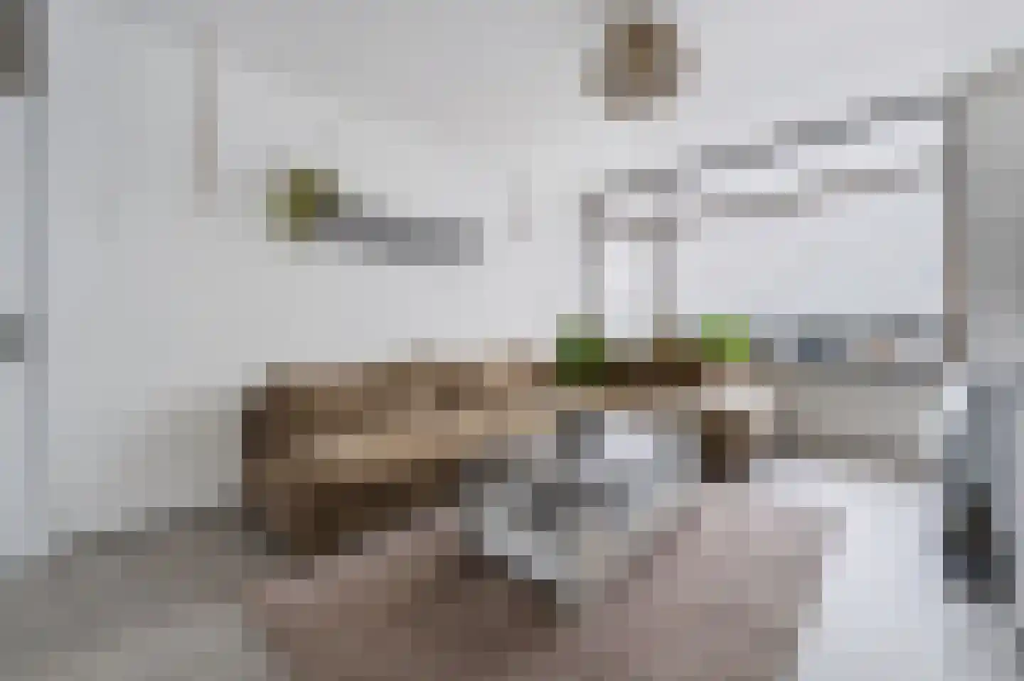 Lobeliastraat 33 B Spijkenisse thumbnail 16