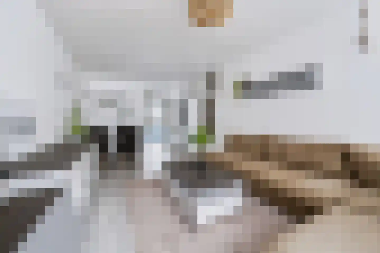 Lobeliastraat 33 B Spijkenisse thumbnail 17
