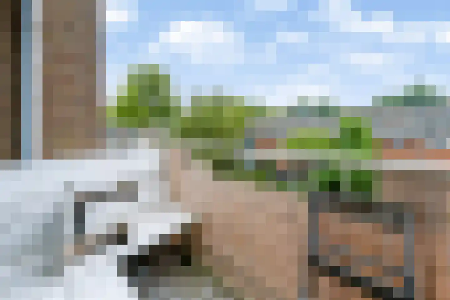 Lobeliastraat 33 B Spijkenisse thumbnail 26