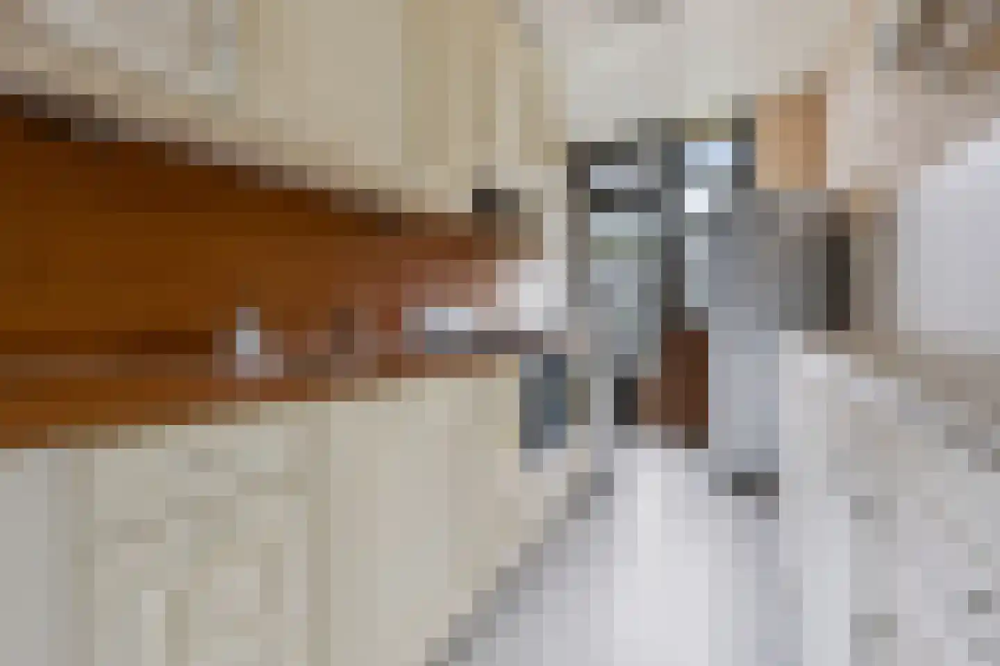 Lobeliastraat 33 B Spijkenisse thumbnail 4