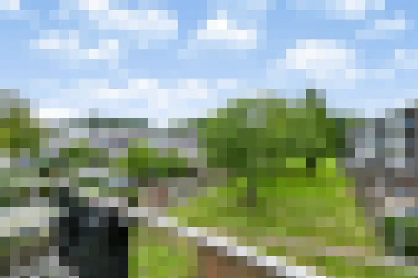 Lobeliastraat 33 B Spijkenisse thumbnail 6
