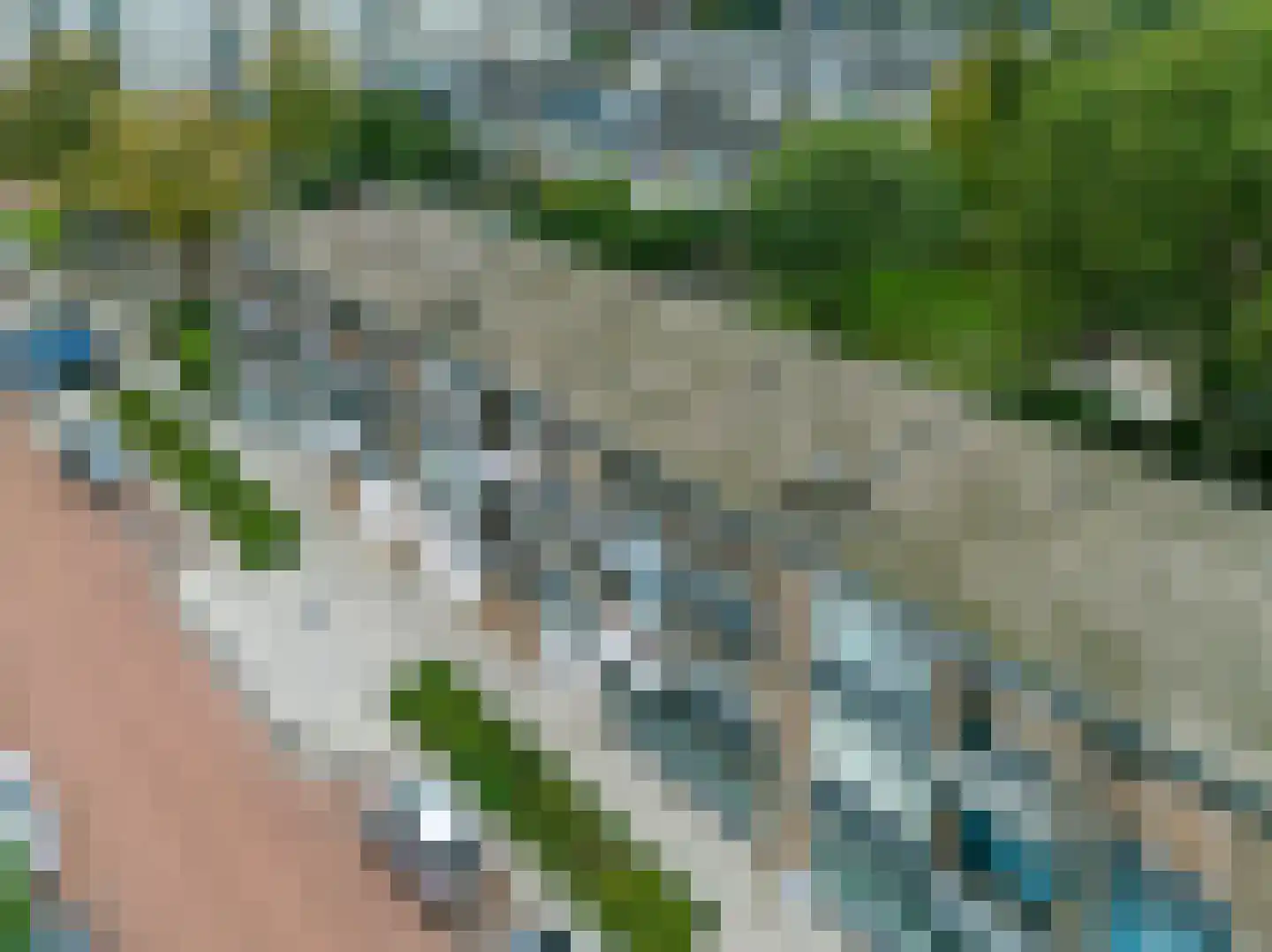 Lobeliastraat 33 B Spijkenisse thumbnail 8