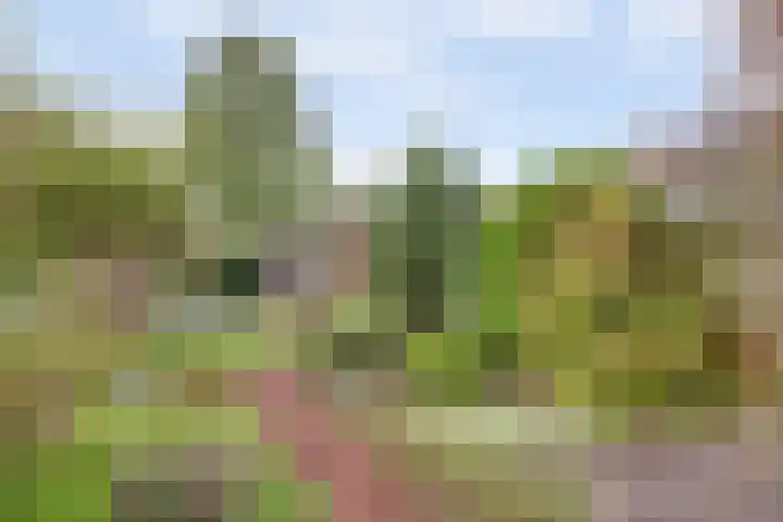Lobeliastraat 34 Hoogkarspel thumbnail 17