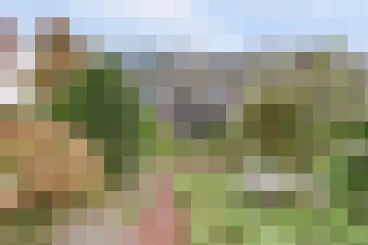 Lobeliastraat 34 Hoogkarspel thumbnail 19