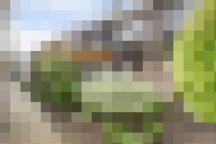 Lobeliastraat 34 Hoogkarspel thumbnail 39