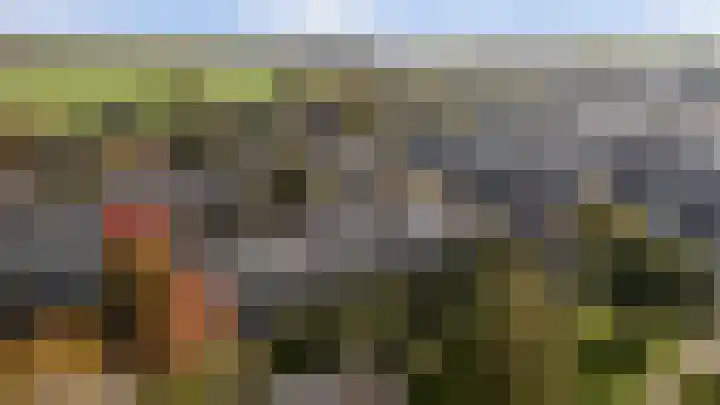 Lobeliastraat 34 Hoogkarspel thumbnail 41