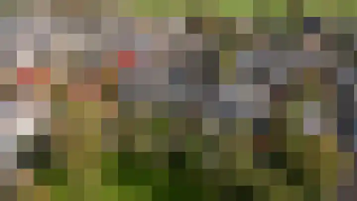 Lobeliastraat 34 Hoogkarspel thumbnail 42