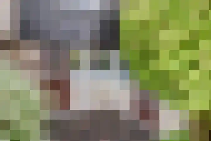 Lobeliastraat 34 Hoogkarspel thumbnail 6