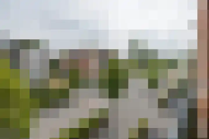 Lobeliastraat 35 Barneveld thumbnail 14
