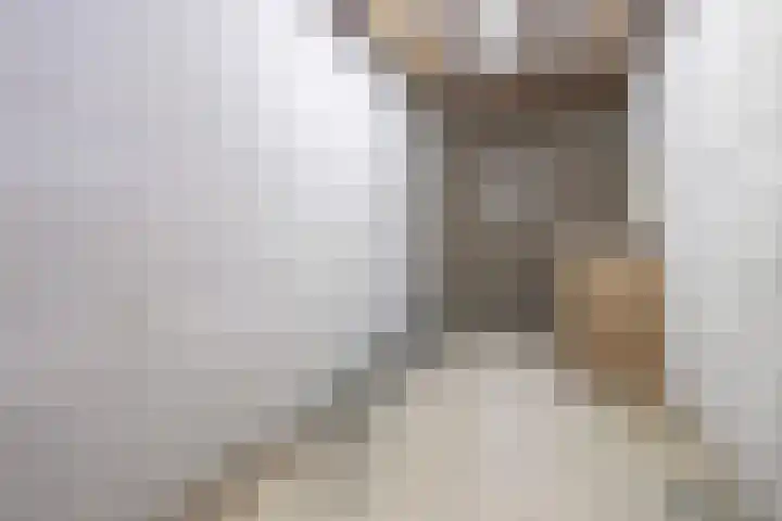 Lobeliastraat 35 Barneveld thumbnail 31