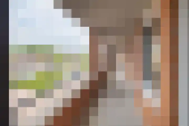 Lobeliastraat 35 Barneveld thumbnail 33