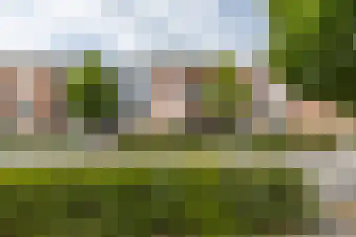 Lobeliastraat 35 Barneveld thumbnail 35