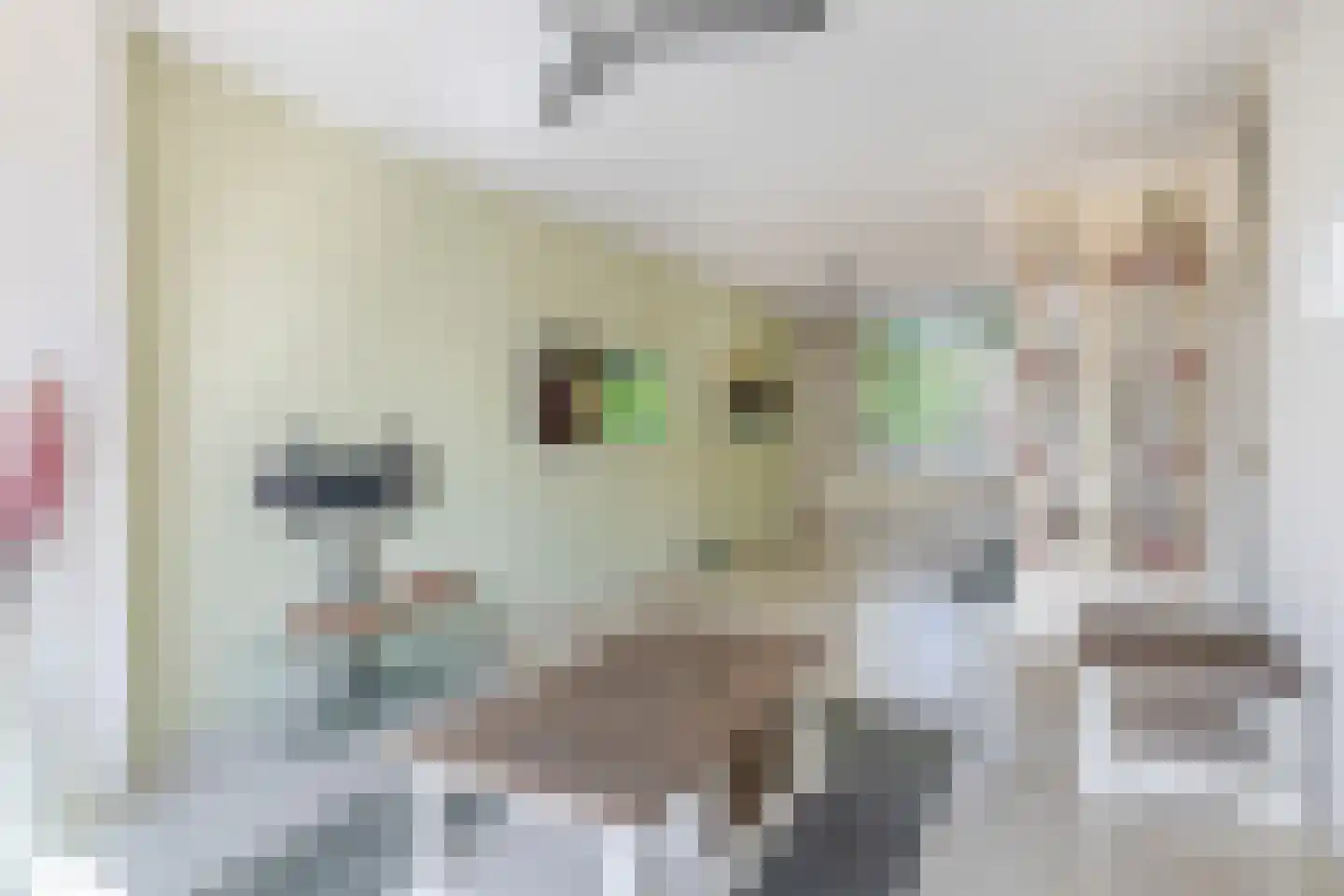 Lobeliastraat 37 A Spijkenisse thumbnail 18