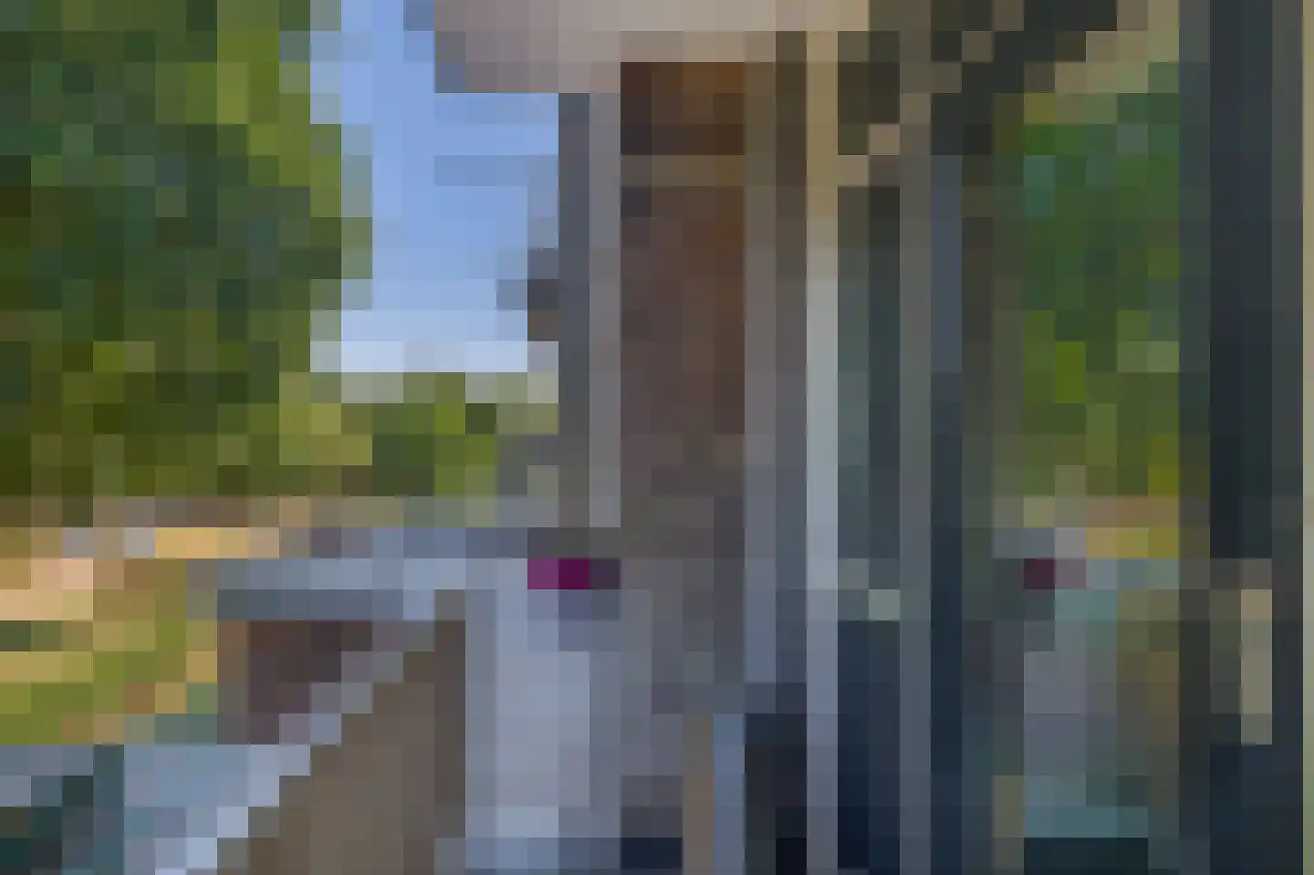 Lobeliastraat 37 A Spijkenisse thumbnail 34