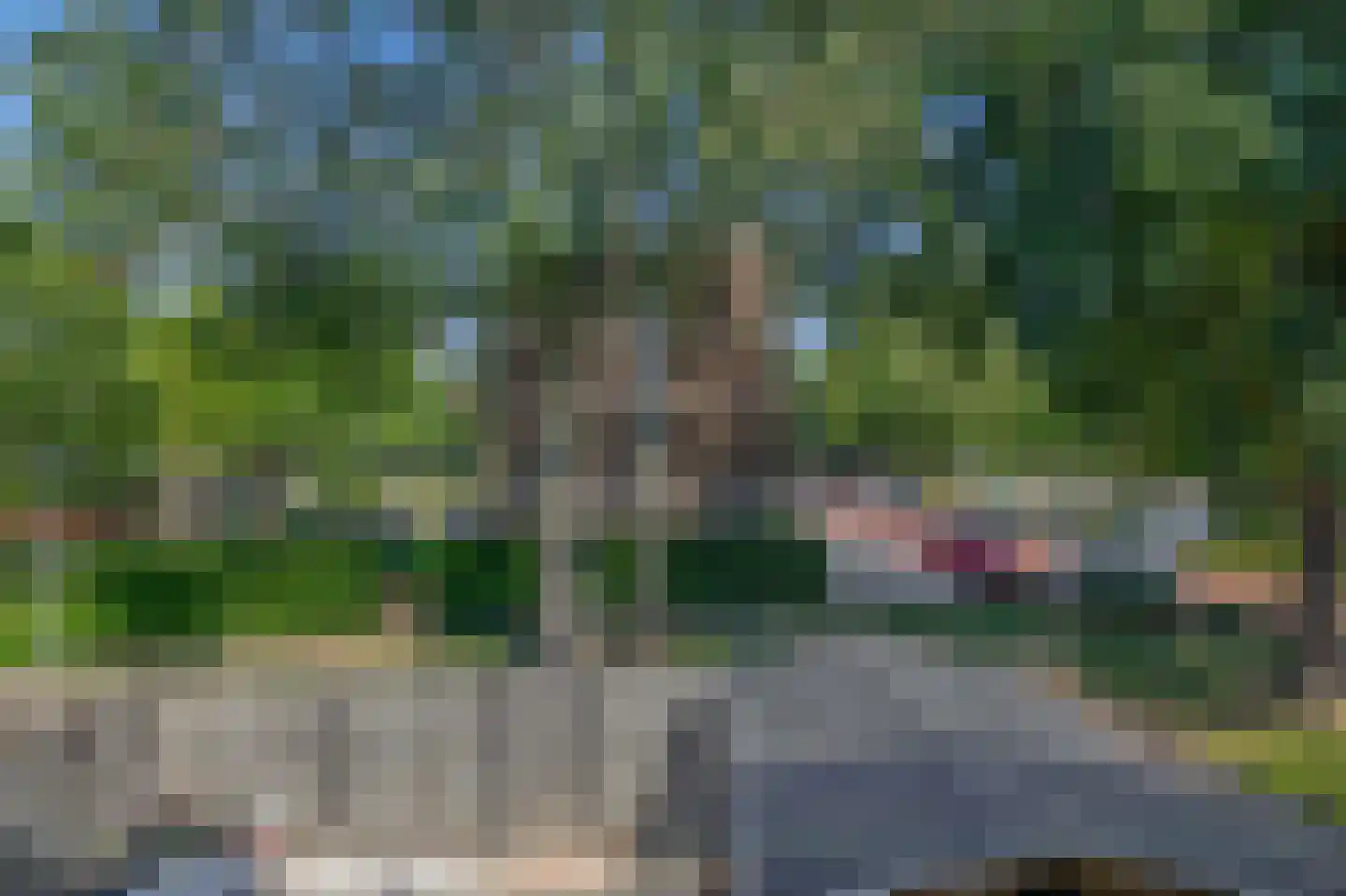 Lobeliastraat 37 A Spijkenisse thumbnail 35