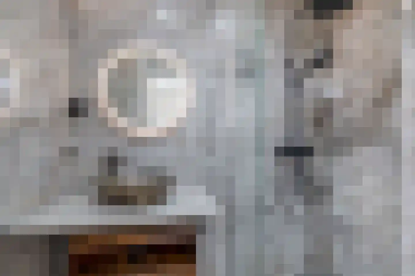 Lobeliastraat 37 Spijkenisse thumbnail 27