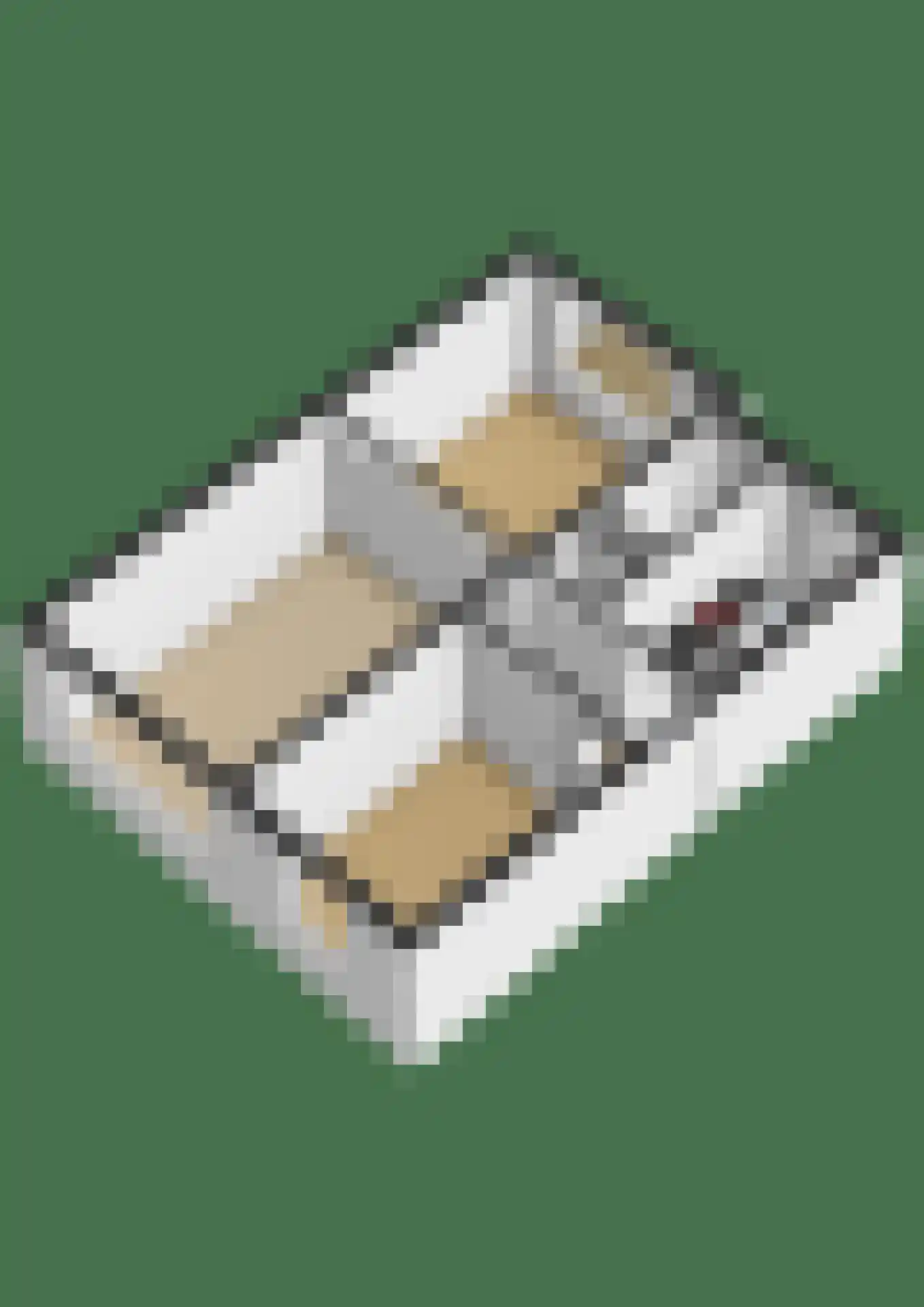 Lobeliastraat 37 Spijkenisse thumbnail 36