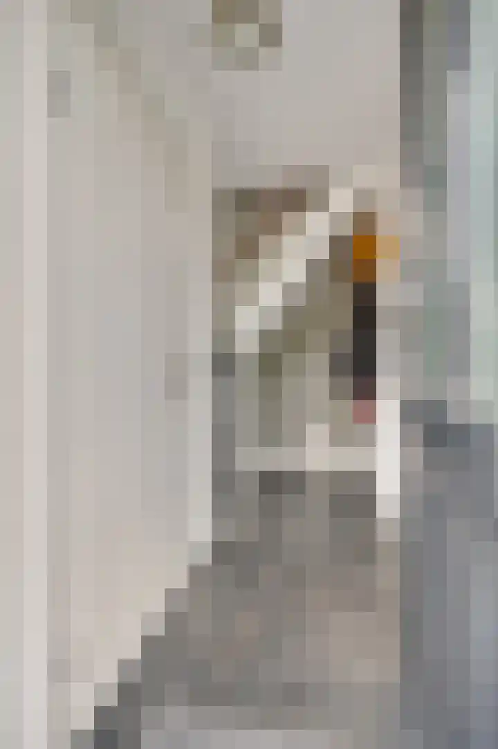 Lobeliastraat 43 Ittervoort thumbnail 18
