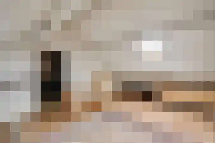 Lobeliastraat 43 Ittervoort thumbnail 28