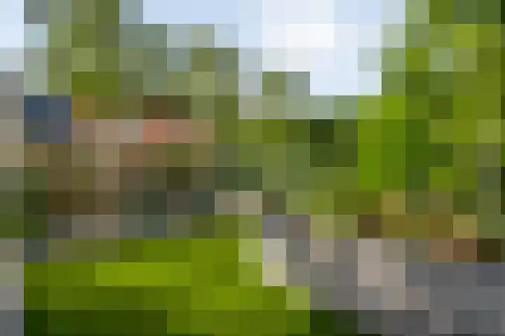 Lobeliastraat 43 Ittervoort thumbnail 31