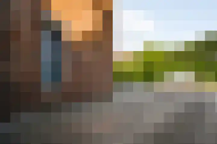 Lobeliastraat 43 Ittervoort thumbnail 32