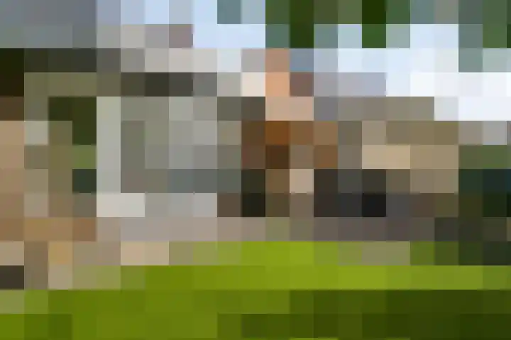 Lobeliastraat 43 Ittervoort thumbnail 4