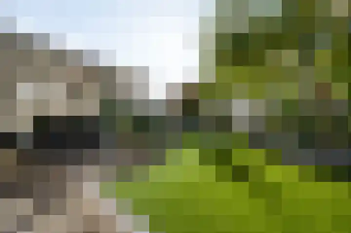 Lobeliastraat 43 Ittervoort thumbnail 5